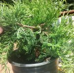 20170526_135836.jpg
