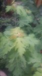 20170713_061547.jpg