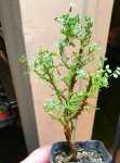 20170718_205723.jpg