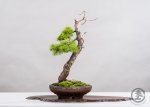 WEB_TBS_SPRING2017-019.jpg