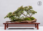 WEB_TBS_SPRING2017-062.jpg