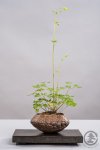 WEB_TBS_SPRING2017-096.jpg