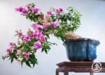 WEB_TBS_SPRING2017-141.jpg