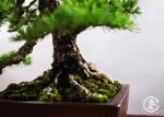 WEB_TBS_SPRING2017-162.jpg