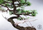 WEB_TBS_SPRING2017-182.jpg