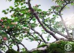 WEB_TBS_SPRING2017-191.jpg