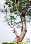 WEB_TBS_SPRING2017-192.jpg