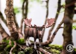 WEB_TBS_SPRING2017-197.jpg
