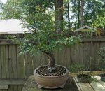 DSC05160-1.jpg