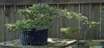 DSC05169-1.jpg