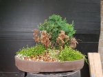 20170722_200604.jpg