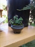 20170724_171538.jpg