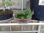 20170724_171443.jpg