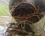 DSC05188-1.jpg