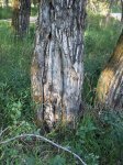 IMG_0872.JPG