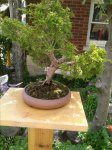 20170731_111348.jpg
