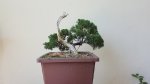 20170730_132343.jpg