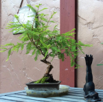 2017-08-07 15.24.40.png 2017-08-07 15.24.40.png