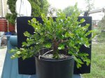 20170812_102038.jpg
