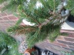 20170814_094845.jpg