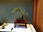 IMG_1200.JPG
