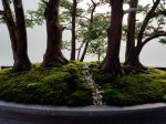 20170818_161718.jpg