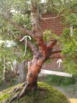 20170819_065443.jpg