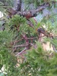 20170819_064036.jpg