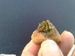 20170819_081541.jpg