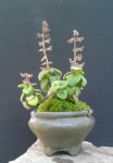 20170819_082609.jpg