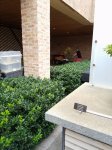 20170820_181915.jpg