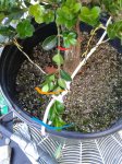 20170903_104142.jpg