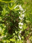 IMG_20170722_105458393.jpg