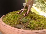 20170904_080342.jpg