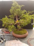 20170904_080241.jpg