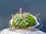 20170909_080209.jpg