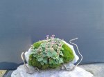 20170909_080234.jpg