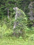 IMG_0751.JPG