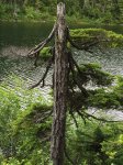 IMG_0833.JPG