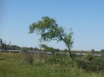 IMG_3789.JPG