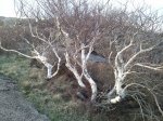 2011-05-02 19.27.20.jpg