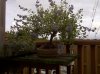 Bloomington City-20110914-00134.jpg