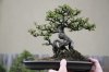 IMG_3844 - Copy - Copy.JPG
