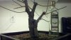 2011-03-10.jpg