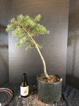 IMG_0424.JPG