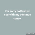 im-sorry-i-offended-you-with-my-common-sense-6022-640x640.jpg