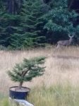 IMG_20171010_074344590.jpg