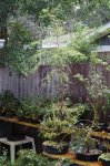 DSC05981-1.jpg