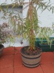 20171014_154227.jpg