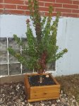 20171014_154110.jpg 20171014_154110.jpg